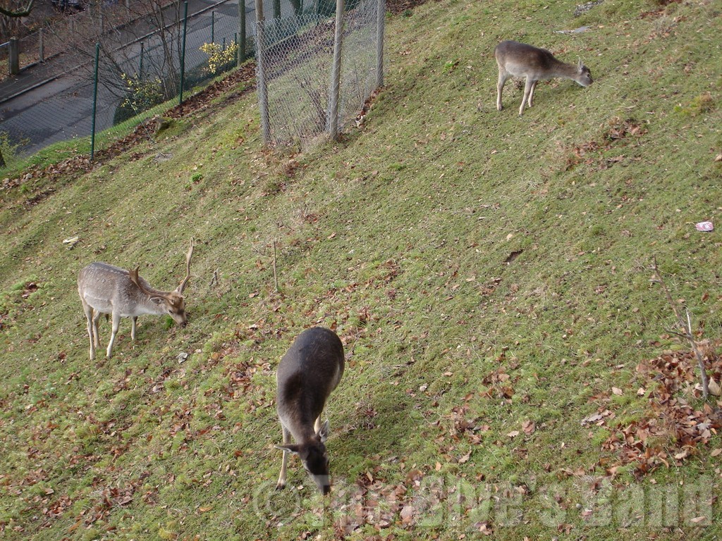 Hotel du Parc Novembre 2007
