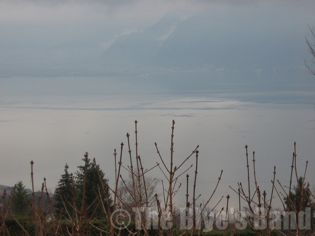 Hotel du Parc Novembre 2007